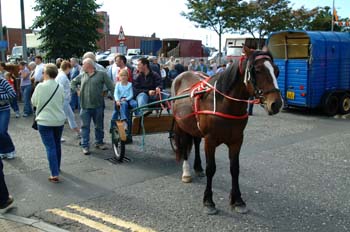CT2002-066