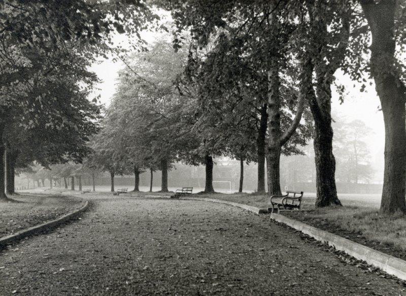 The People's Park - 1957 Park Avenue leading to Park Road