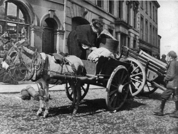 Billy Austin Photo Collection - Page 11 - photo 11